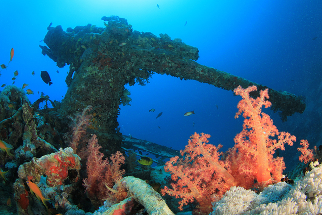 SS Thistlegorm